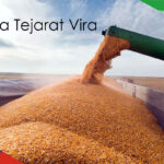 تحلیل روند واردات از روسیه به ایران و فرصت‌های سرمایه‌گذاری