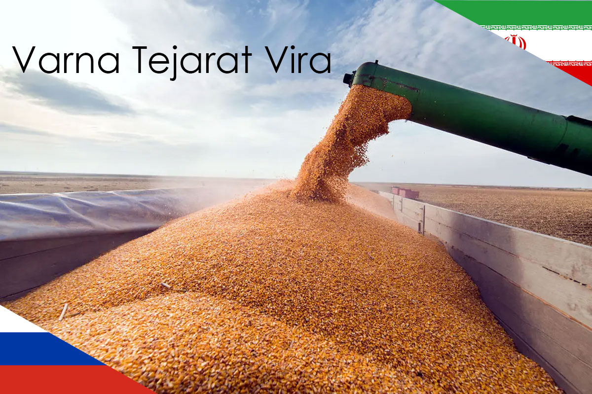 Read more about the article تحلیل روند واردات از روسیه به ایران و فرصت‌های سرمایه‌گذاری